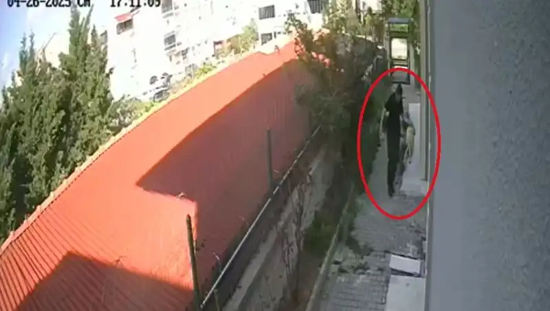Veteriner Hekim, Sahiplendiği Köpekleri Evinde Katletti!