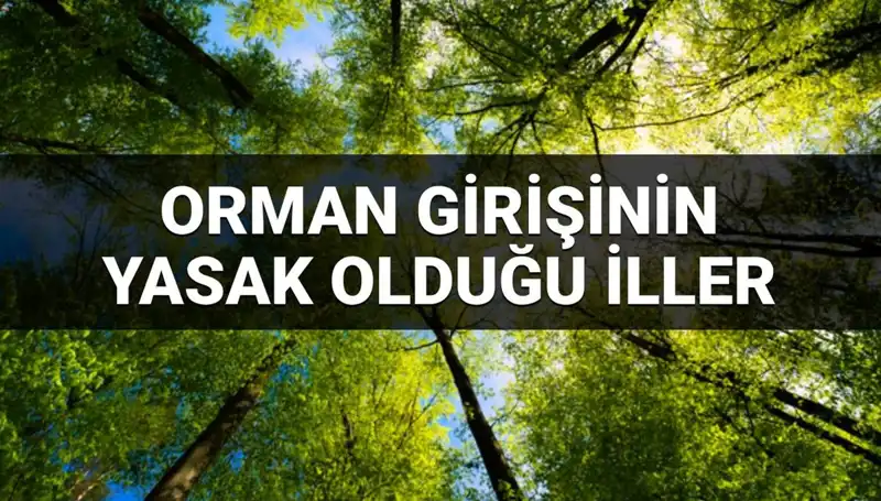 2025 Yılında Orman Girişi Yasaklanan İller ve Gerekçeleri