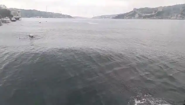 İstanbul Boğazı'nda Dalgalar Yükseldi: Şehirdeki Son Durum ve Etkileri