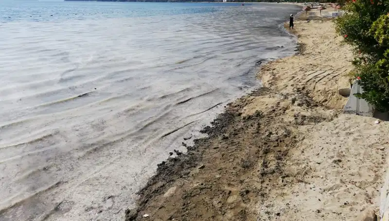 Müsilaj Mücadelesinde Son Durum: 268 İşletme Kapandı!