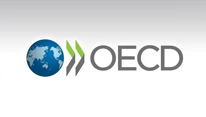 OECD, Türkiye'nin Büyüme Tahminini Revize Etti: Ekonomik Beklentiler Ne Olacak?