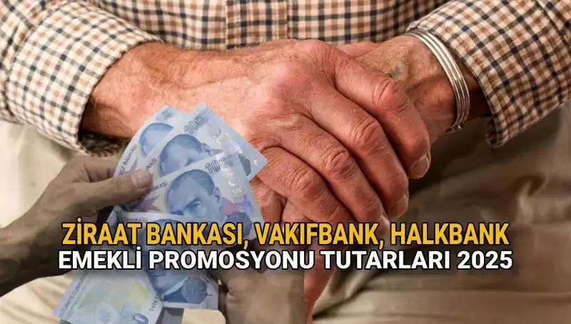 Emeklilerin Yüzünü Güldüren Kamu Bankaları Promosyonları 2025'te Neleri Sunacak?