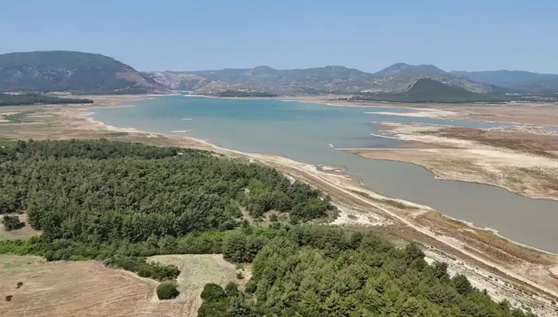 İzmir'de Tehlike Çanları: Geçen Yıla Göre Yüzde 50 Düşüş Kaydedildi