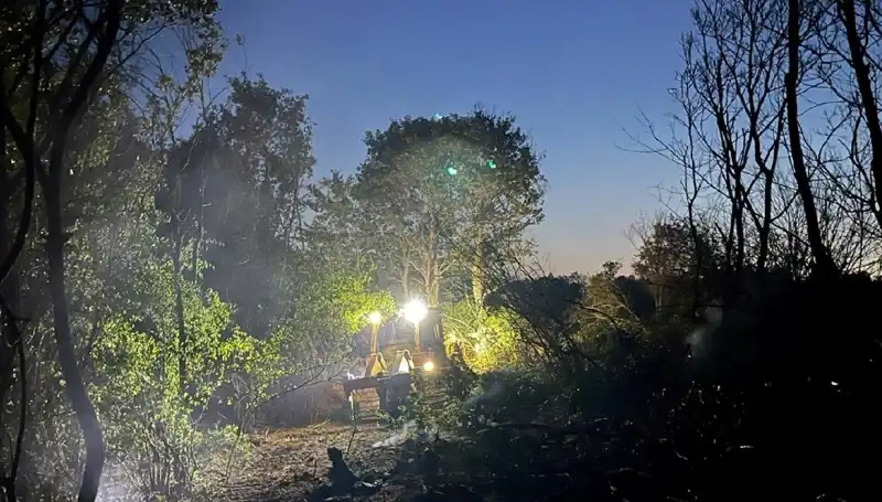 Edirne’deki Orman Yangını Kontrol Altına Alındı: Son Durum
