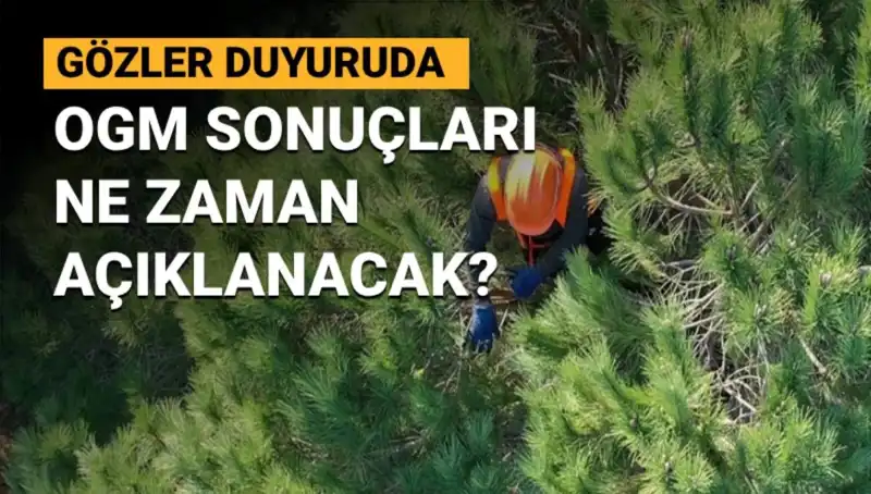 OGM Personel Alımı: 3 Bin 477 Sözleşmeli Kadro Sonuçları Ne Zaman Açıklanacak?