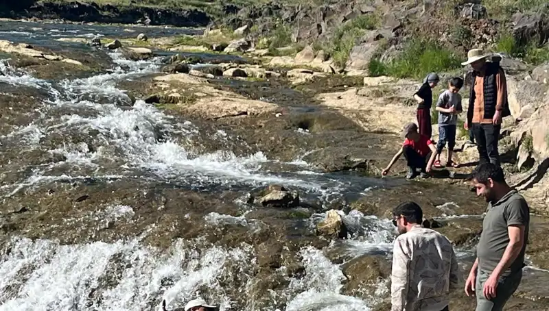 İnci Kefali Göçü: Doğa Harikası Binlerce Kilometreyi Aştı