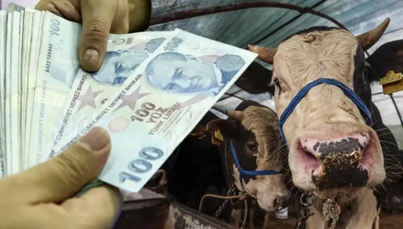 Emekli ve Memur Maaşları Bayram Öncesi Yatacak mı?