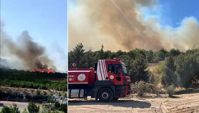 Gebze'de Yakıcı Orman Yangını: Doğa ve Hayat Tehlikede!